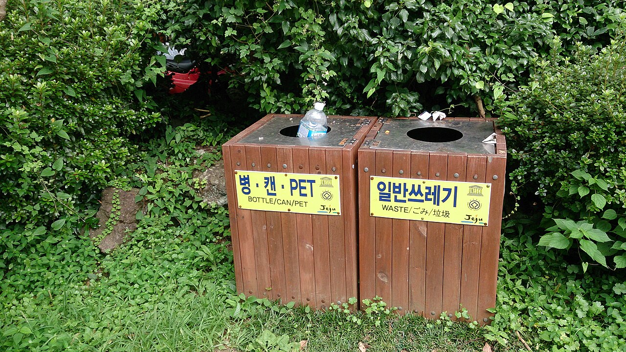 비자림