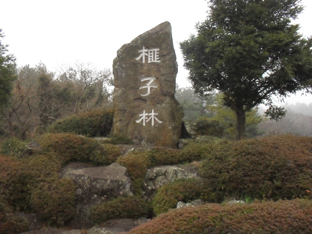 비자림