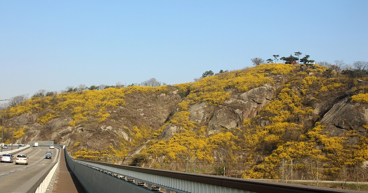 응봉산