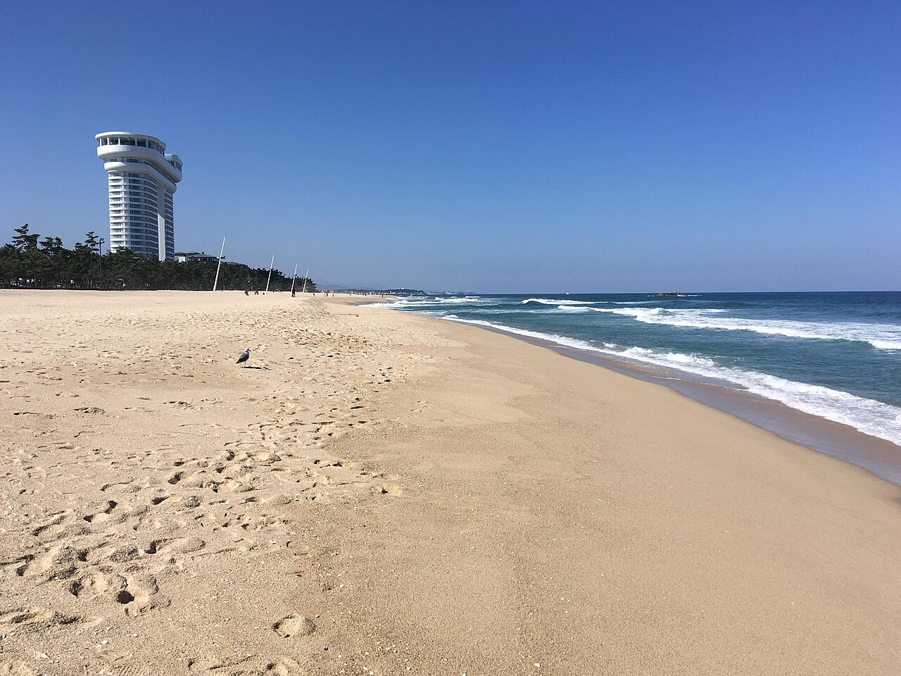 경포해변