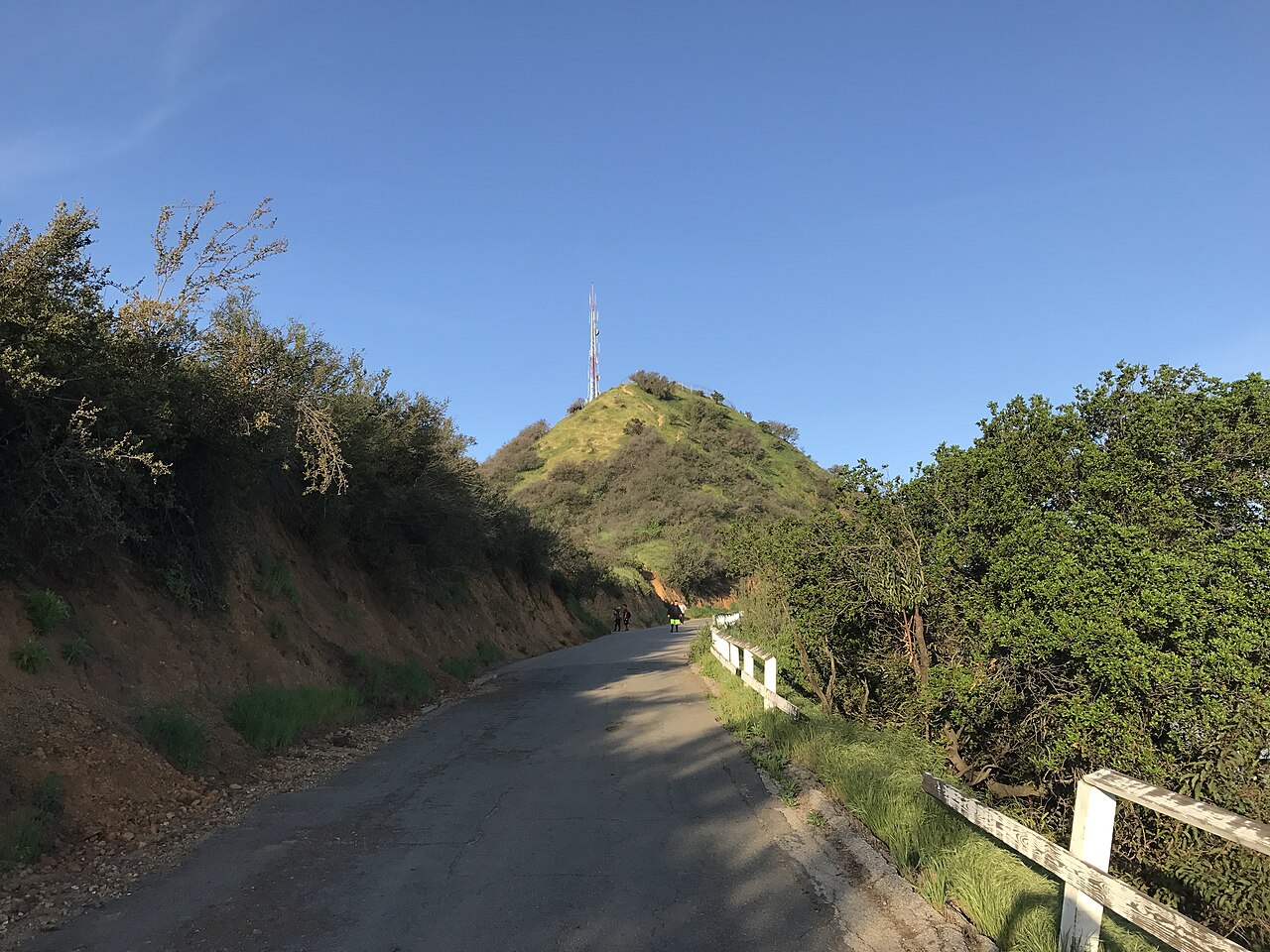 할리우드 사인
