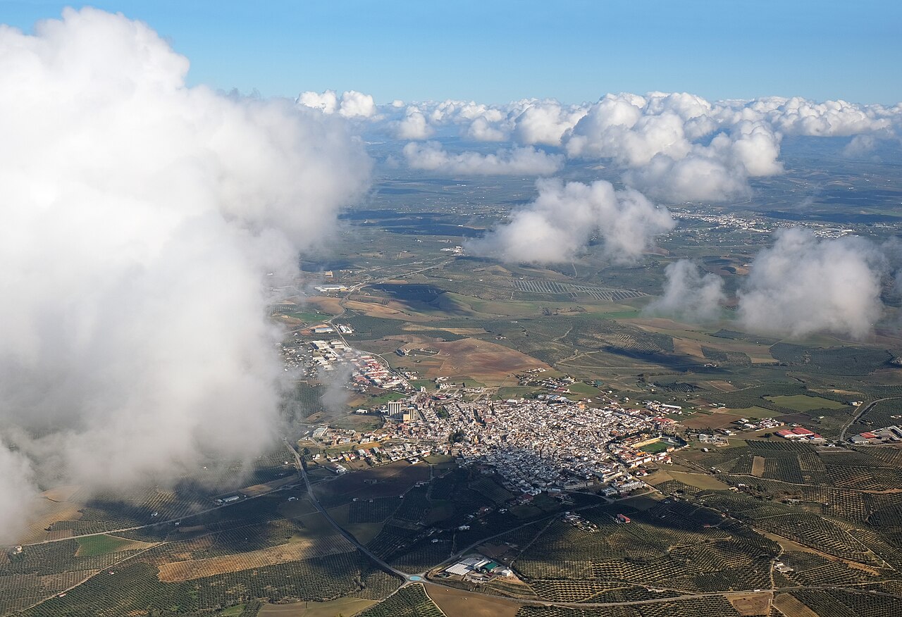 람블라스 거리