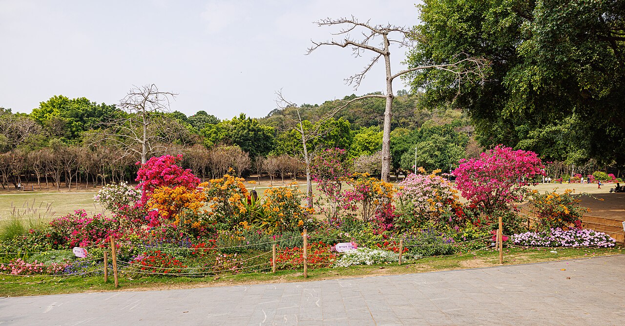 롄화산 공원 (덩샤오핑 동상)