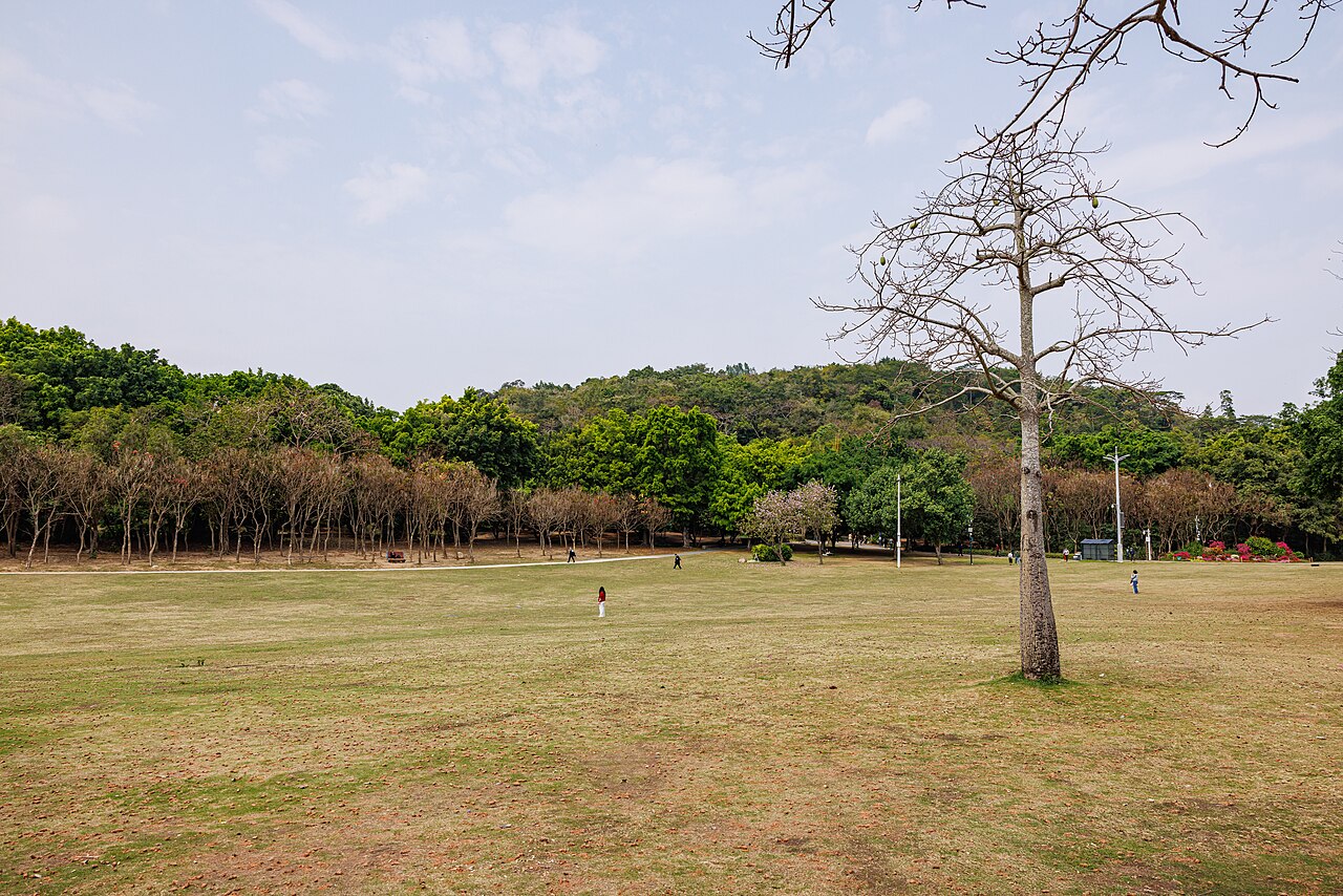 롄화산 공원 (덩샤오핑 동상)