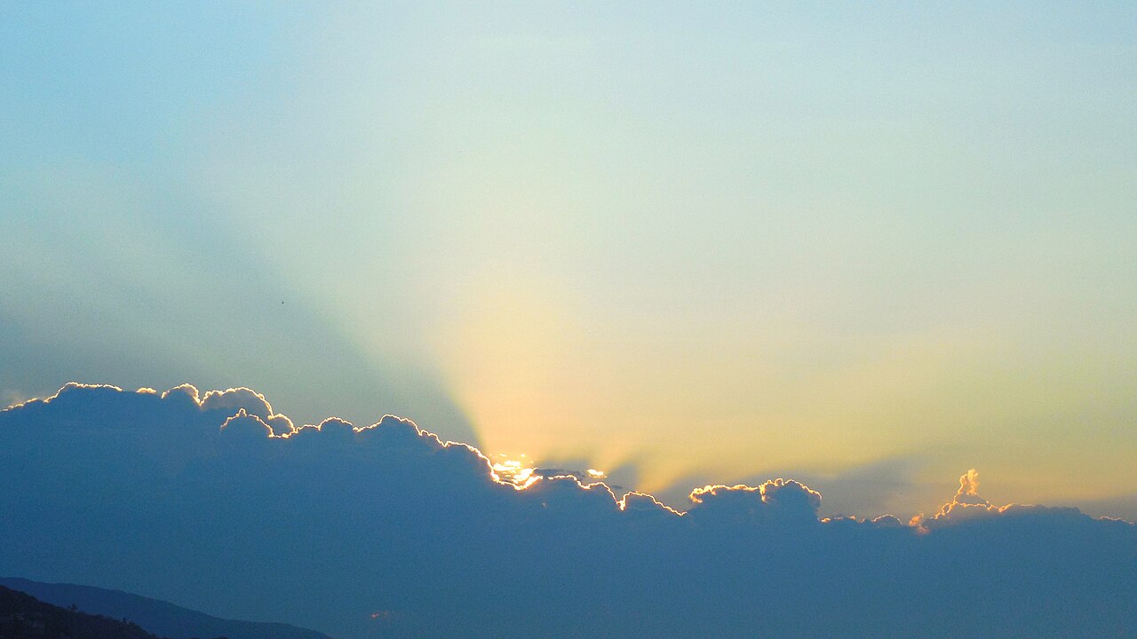 말리부 (퍼스트포인트)