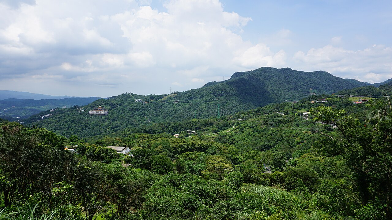 마오콩