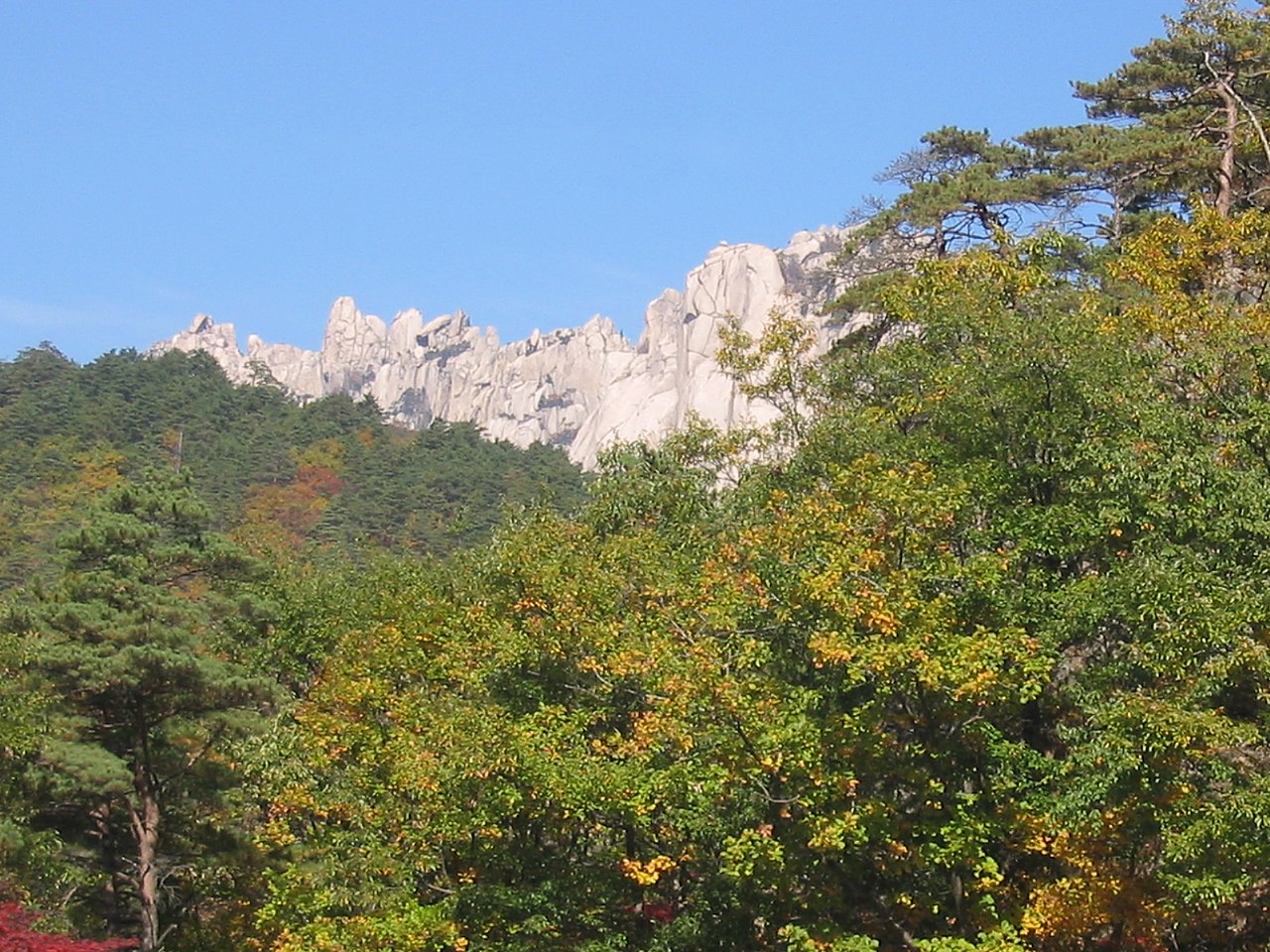 내장산 국립공원