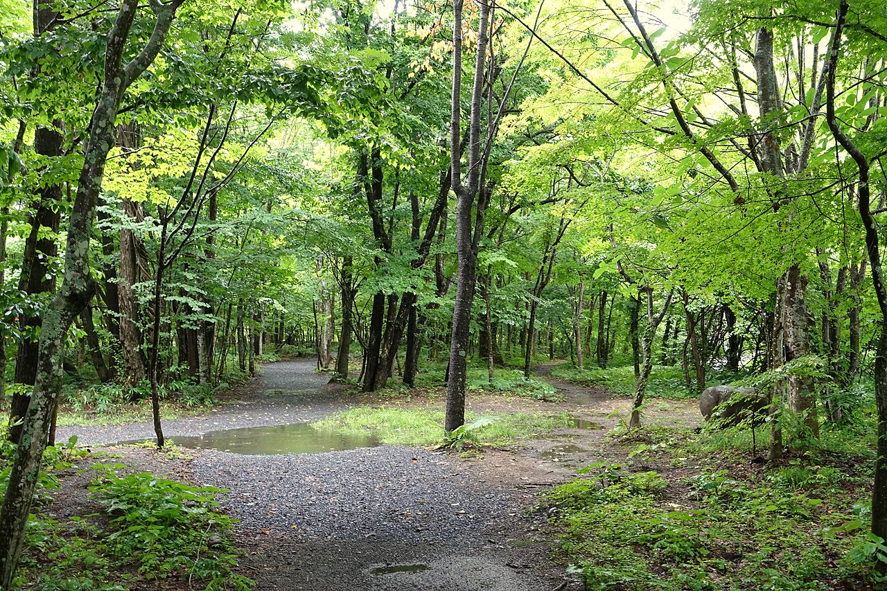 오이라세 계류