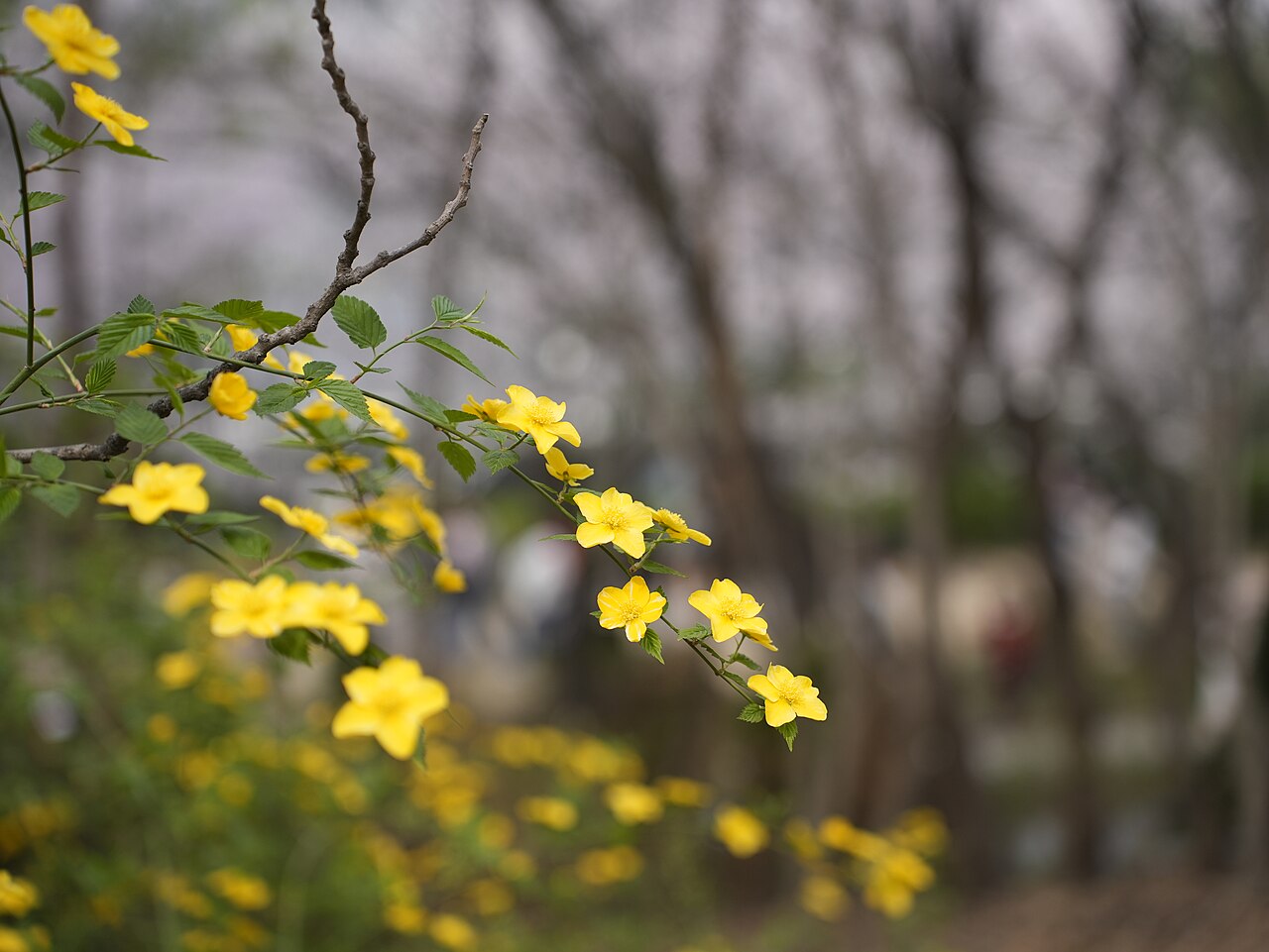 서울숲