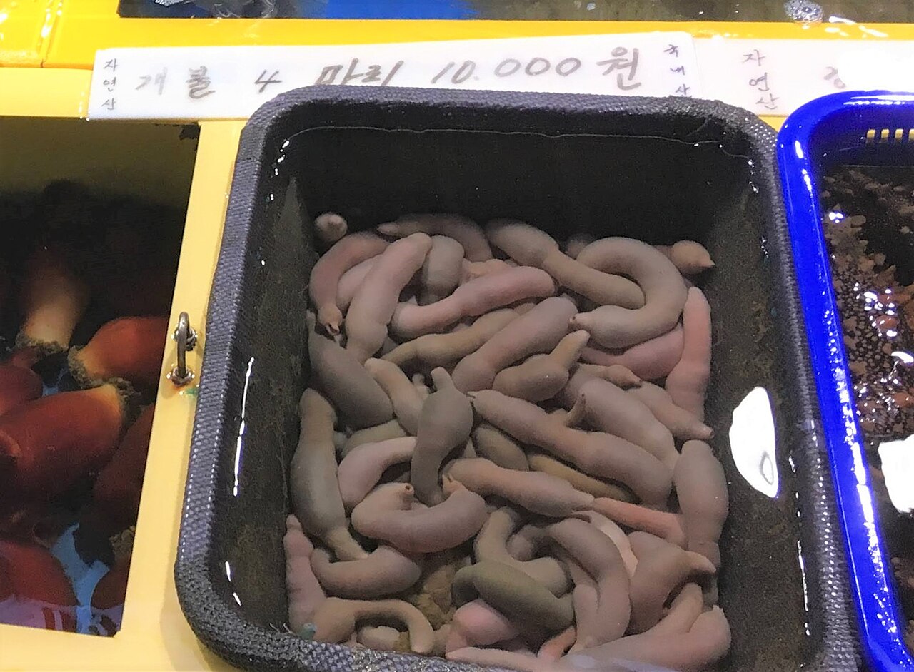 속초관광수산시장