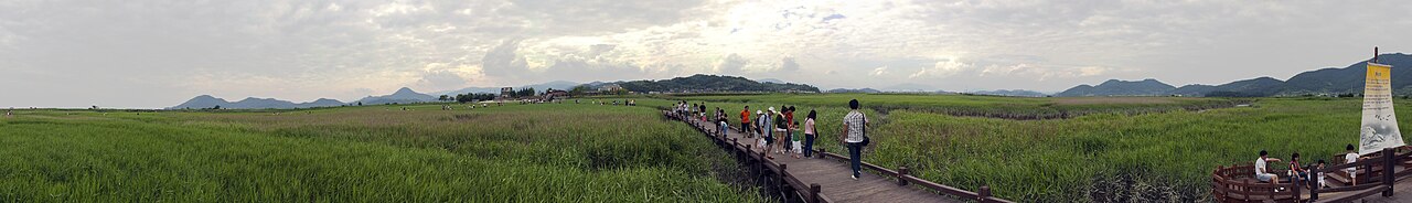 순천만습지