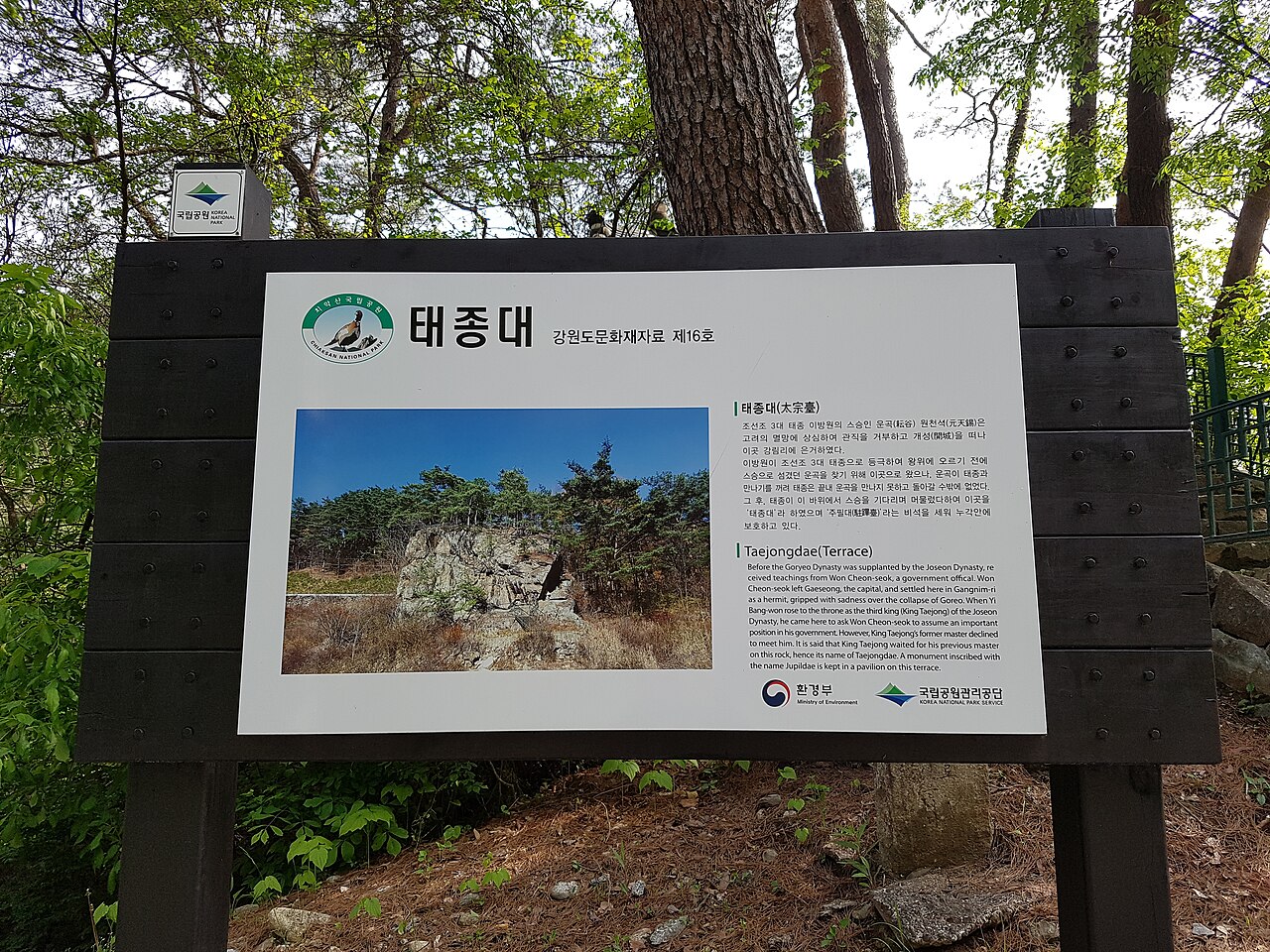 태종대