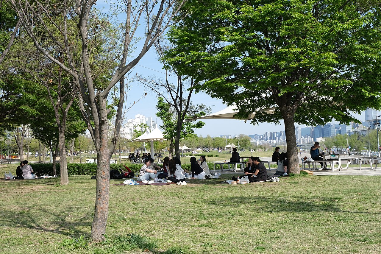 뚝섬한강공원