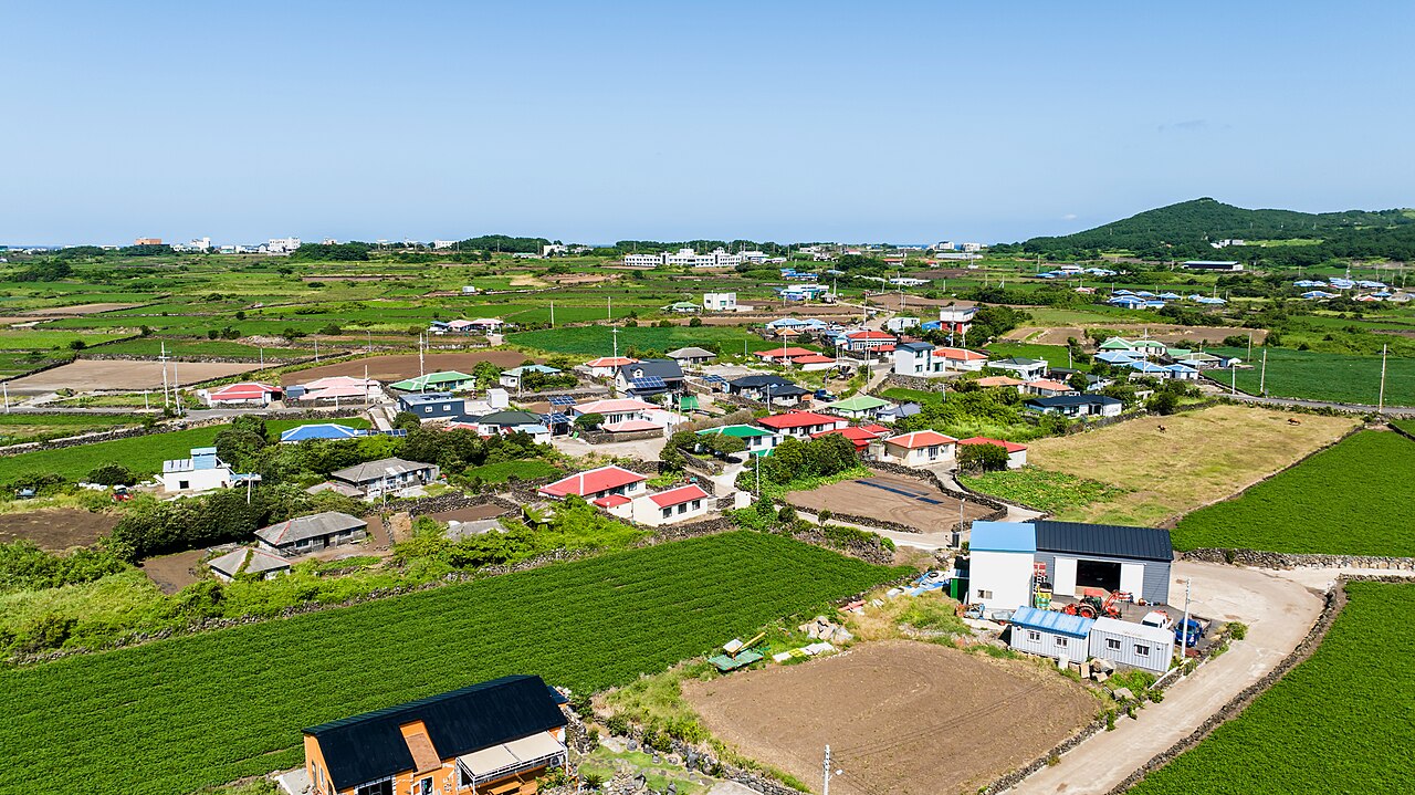 우도