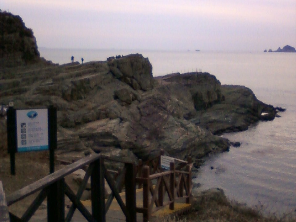 바람의 언덕