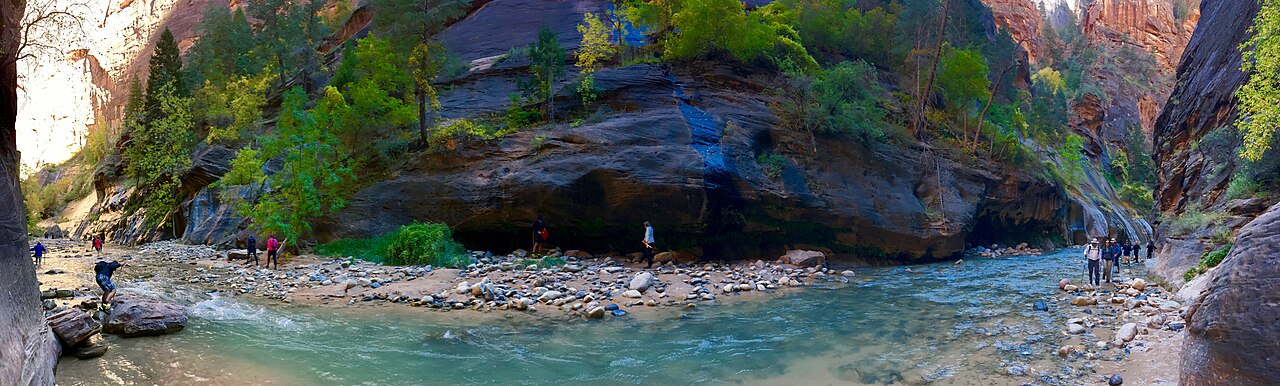 더 내로우스